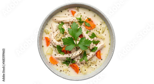 Isolated Bowl of Chicken Soup