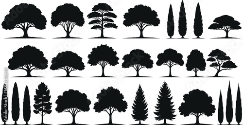 Silhouette Vector Collection of Deciduous and Evergreen Trees for Landscape Architecture, Nature Illustration, Garden Design, and Outdoor Graphic Projects