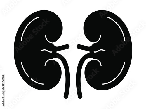 Minimalist black and white silhouette of human kidneys, a simple anatomical vector icon for medical design