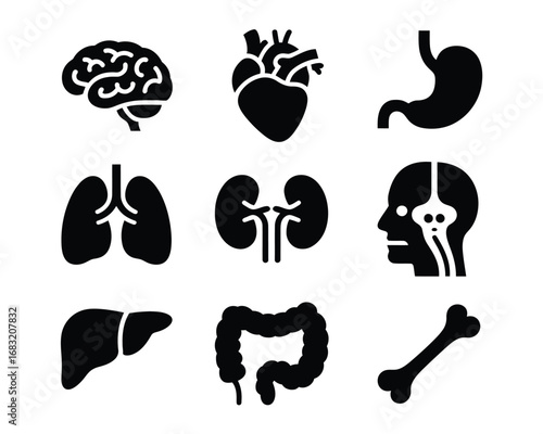 A collection of human organs icons, including brain, heart, lungs, and kidneys isolated on white