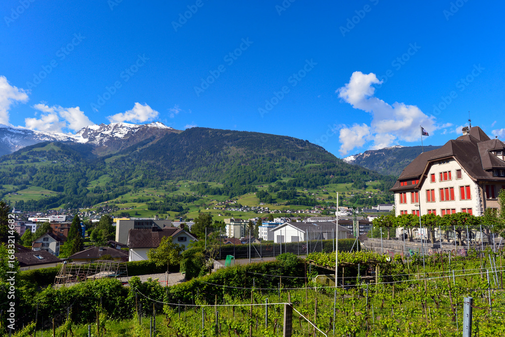 Fototapeta premium Sargans im Schweizer Kanton St. Gallen