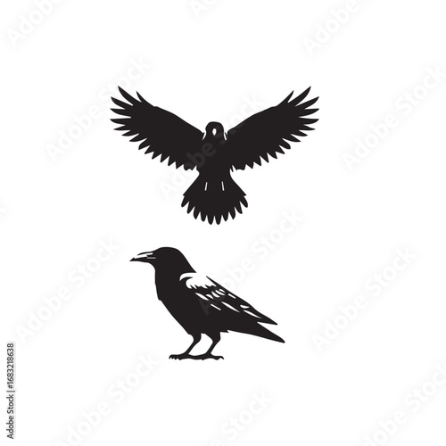crow set silhouette tattoo,crow set silhouette png ,crow set silhouette flying ,crow set silhouette images