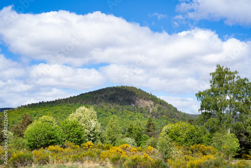Fotografie A mountain near Ballater in the Cairngorms