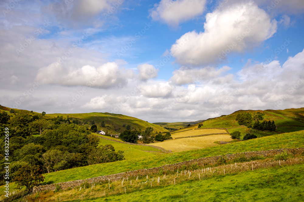 Fototapeta premium Hill farm surrounded by hills, mountains, fields, trees and dry stone walls, Staveley, The Lake District, Cumbria, England