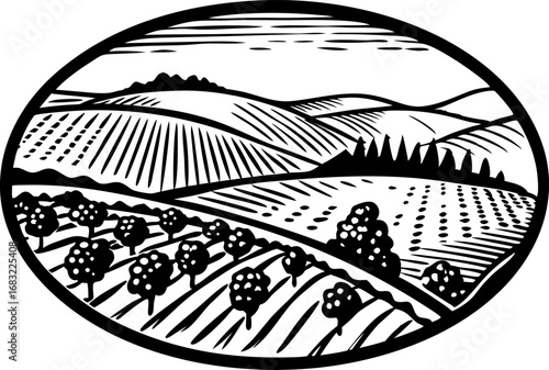 Orchard landscape illustration fruit trees in fields, rolling hills, rural countryside, agriculture and farming design