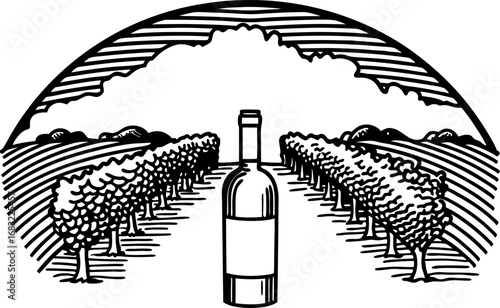 Vineyard fields with central wine bottle harvested grapevines, vintage agriculture, rural countryside landscape art