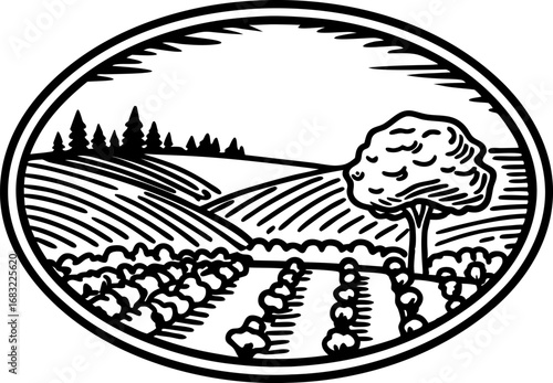 Countryside farmland landscape with solitary tree and cultivated fields rural agricultural scene in black and white illustration