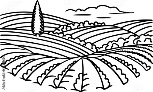 Rolling countryside landscape with fields, trees, hills, and clouds rural farmland scenery illustration, black line art