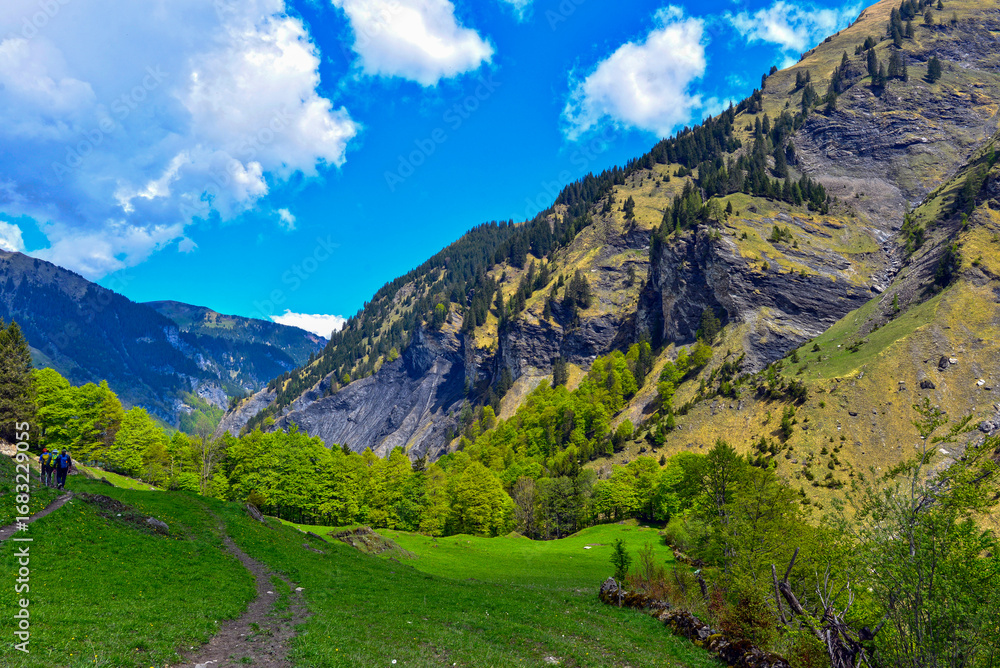 Fototapeta premium Wanderweg von Weisstannen im Weisstannental zur Wasserfallarena von Batöni, Mels, Kanton St. Gallen 