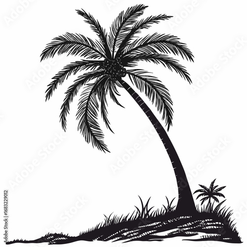 island palm silhouette 
