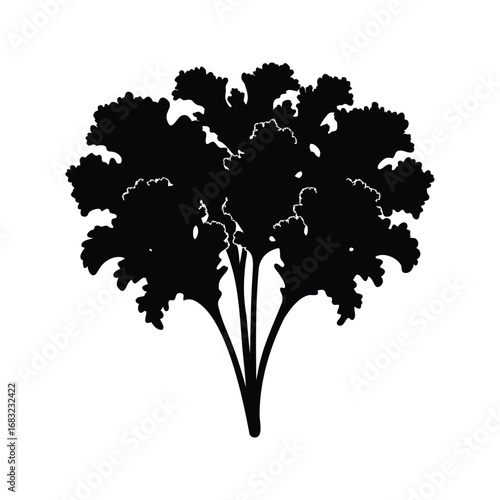 Bold silhouette of curly parsley herb against a stark white backdrop, kale bunch silhouette vector illustration