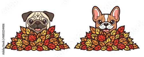 pug and French bulldog peeking out from a pile of autumn leaves, fall illustration, cartoon dog