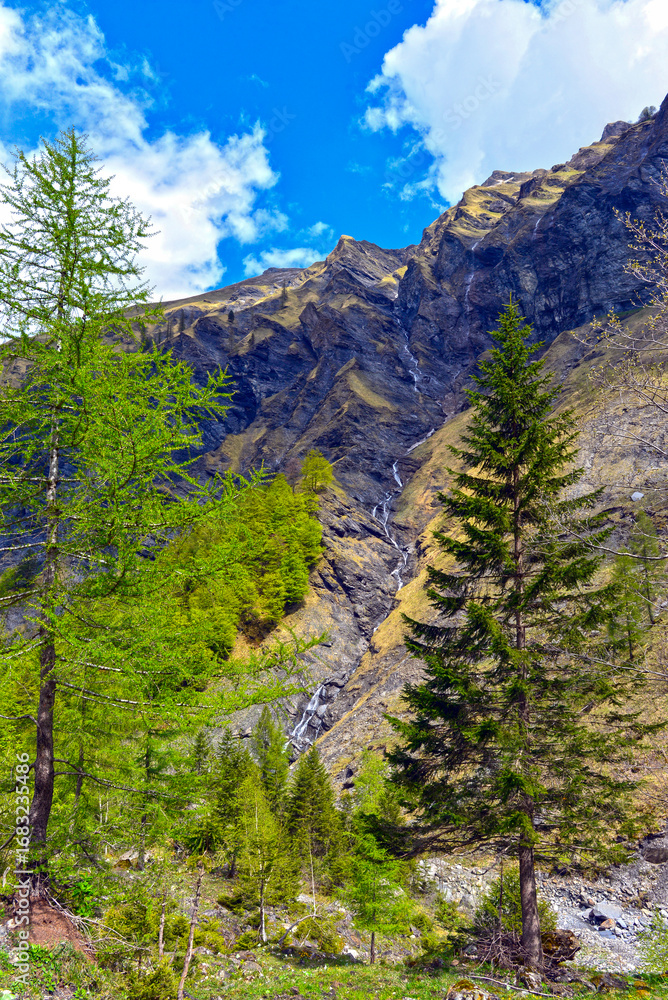 Obraz premium Wanderweg von der Wasserfallarena von Batöni nach Weisstannen im Weisstannental , Mels, Kanton St. Gallen