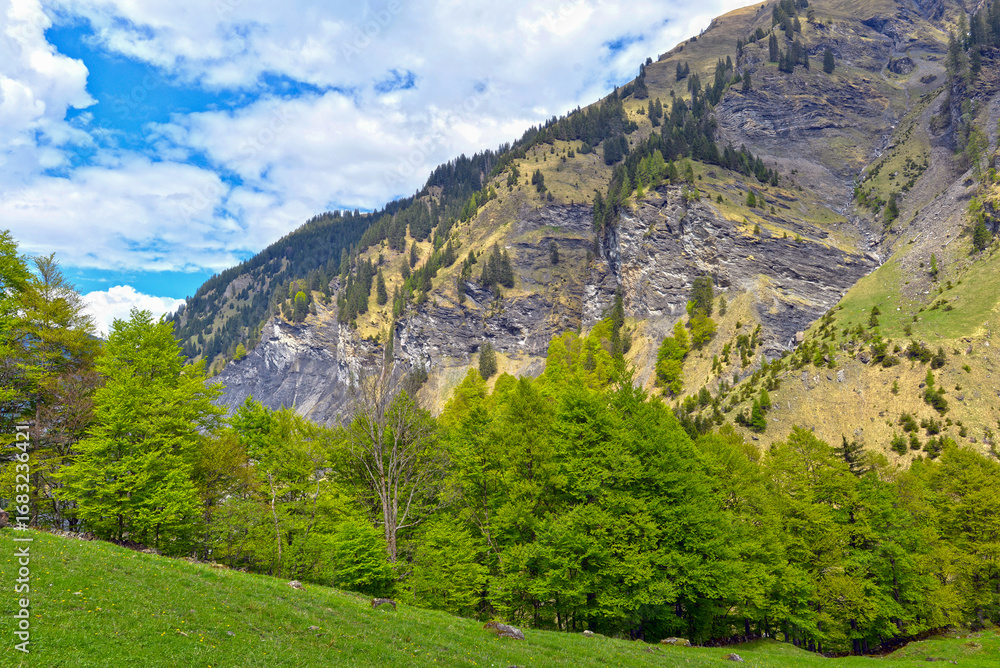 Obraz premium Wanderweg von Weisstannen im Weisstannental zur Wasserfallarena von Batöni, Mels, Kanton St. Gallen