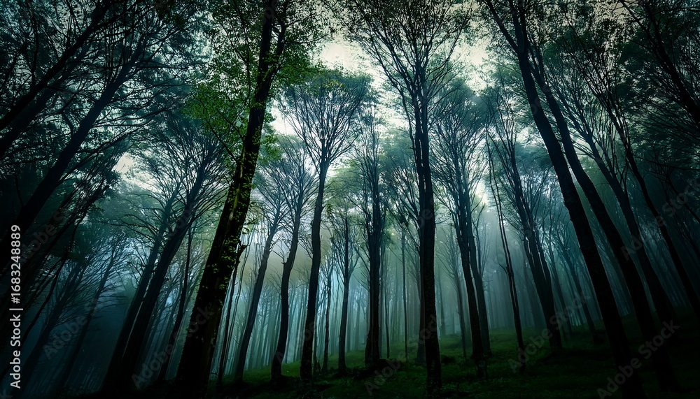 Fototapeta premium mystical green forest shrouded night dark silhouettes towering trees creates haunting horror