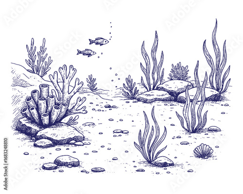 Hand drawn vintage coral reef underwater illustration, marine engraving style perfect for ocean, sea life, and aquatic nature themes.