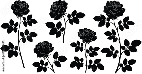 Set of five black rose plant silhouettes with detailed petals, serrated leaves, and stems in varied artistic botanical vector arrangements