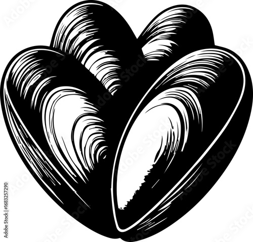 Illustration of four mussels arranged in a cluster with detailed line work and black and white contrast