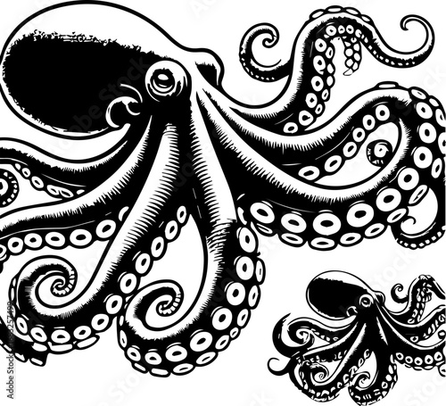 Illustration featuring three black and white octopuses with detailed tentacles and suction cups design