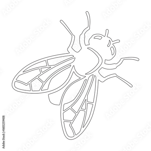 fruit flies icon