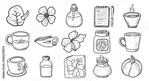 Line art hand drawn botanical mug set. Sketch flower leaf jar bottle graphic pen icon. Hand drawn plant tea herbal drink illustration