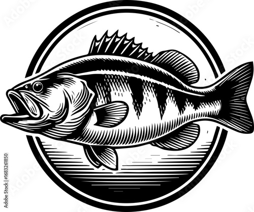 Illustration of a largemouth bass fish inside a circle frame with detailed line work and monochrome design