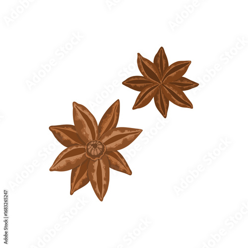 A hand-drawn vector element with a anise stars . Perfect for food and beverage designs or adding a cozy touch to holiday illustrations.