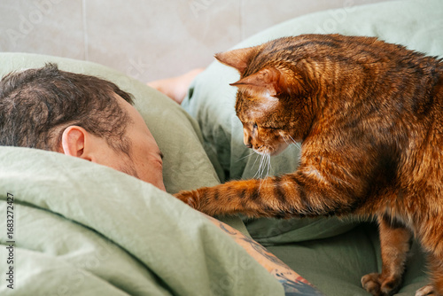 Cat gently taps sleeping man to wake him up in the morning.