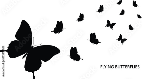 Silhouette of flying butterflies in various sizes, nature vector illustration, peaceful insect pattern, fluttering wings, black and white design.