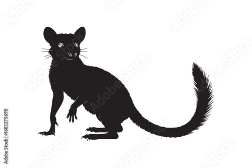 Silhouette of a standing bilby with a long bushy tail