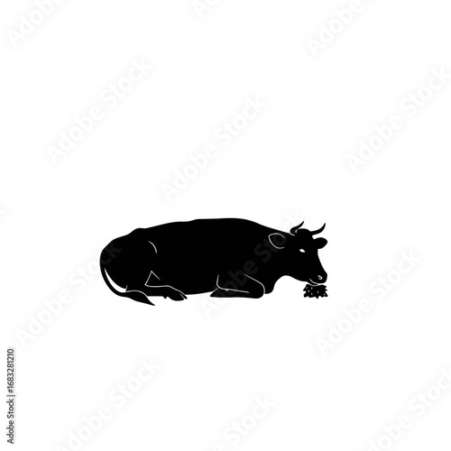 Silhouette of a cow lying down and chewing cud.