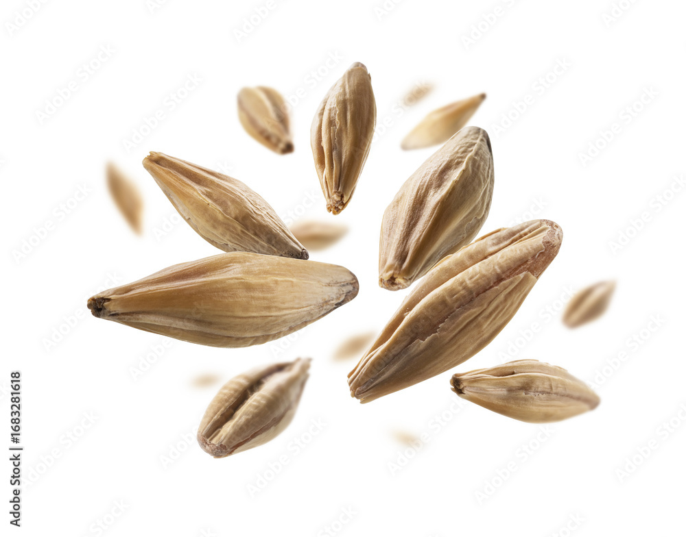 Ταπετσαρία Barley malt grains levitate on a white background