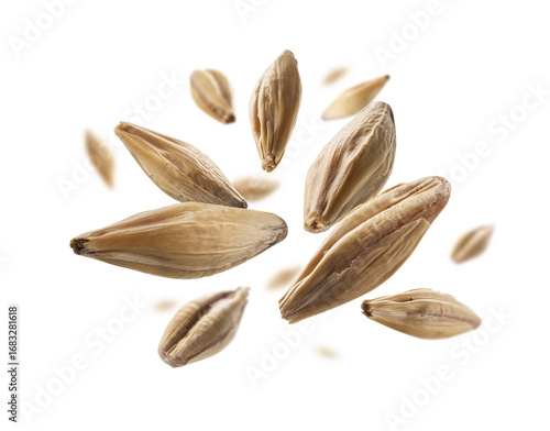 Φωτογραφία Barley malt grains levitate on a white background