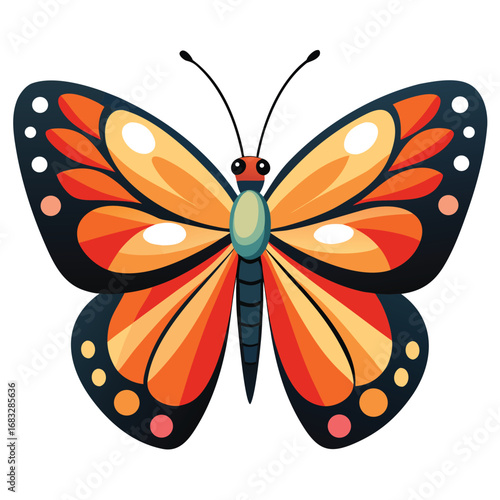 Orange and black monarch butterfly illustration Vector illutration isolated on white background