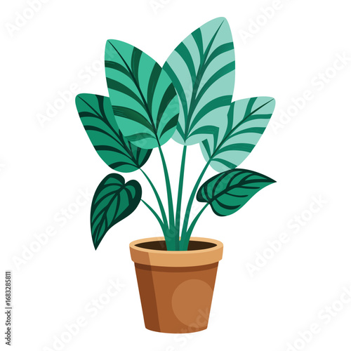 Potted green plant with patterned leaves houseplant Vector illutration isolated on white background