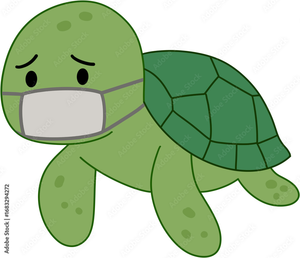 Fototapeta premium turtle