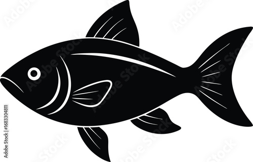 vector illustration of a fish
