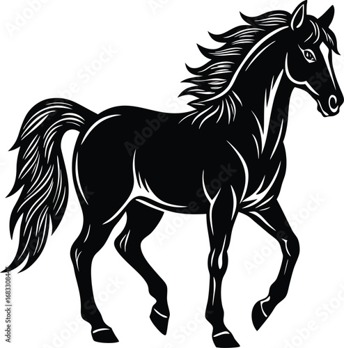 horse silhouette isolated on white