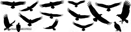 vector set of VULTURE SILHOUETTE ON WHITE BACKGROUND
