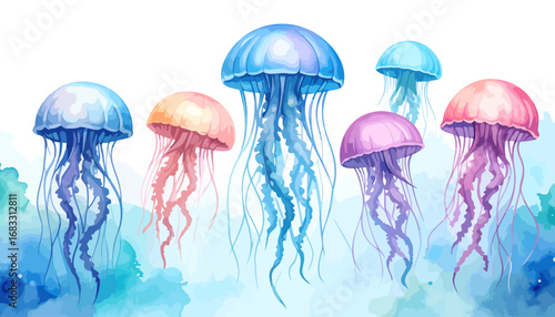 Colorful Jellyfish in the Ocean.