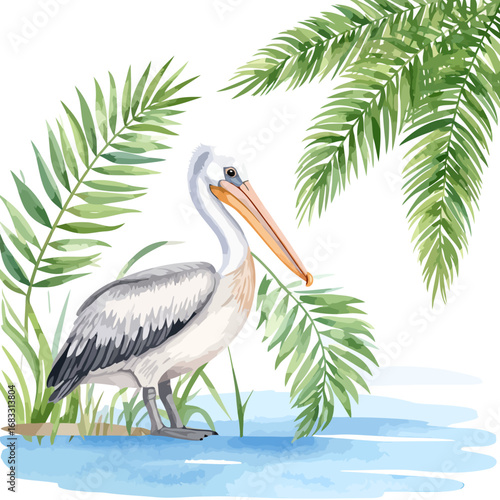 Watercolor illustration of a beautiful pelican bird standing gracefully.