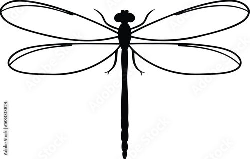 dragonfly on white background