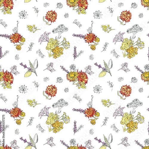 Autumn seamless pattern with small asters, lavender. immortelle, and herbs. Watercolor and pen hand-drawn illustration. Cute and simple design for fabric and wrapping paper