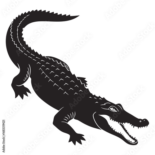 crocodile isolated on white background