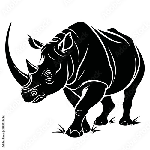 rhino on white background