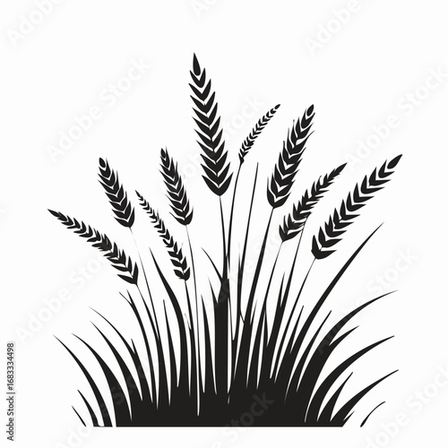 Prairie grass silhouette. This image shows a black silhouette of prairie grass with tall blades and feathery plumes, also known as wild grass or meadow grass. Vector clipart illustration design.