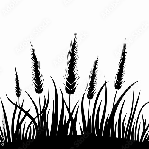 Prairie grass silhouette. This image shows a black silhouette of prairie grass with tall blades and feathery plumes, also known as wild grass or meadow grass. Vector clipart illustration design.
