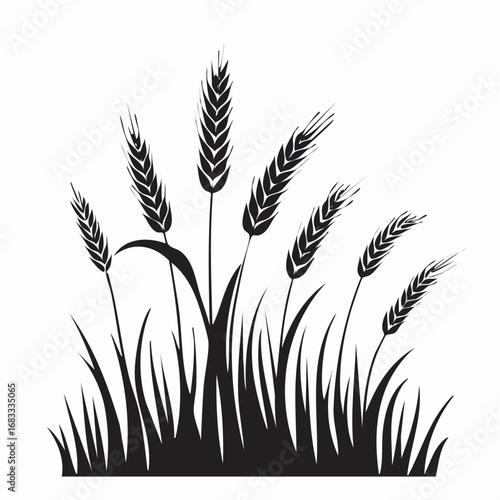 Prairie grass silhouette. This image shows a black silhouette of prairie grass with tall blades and feathery plumes, also known as wild grass or meadow grass. Vector clipart illustration design.