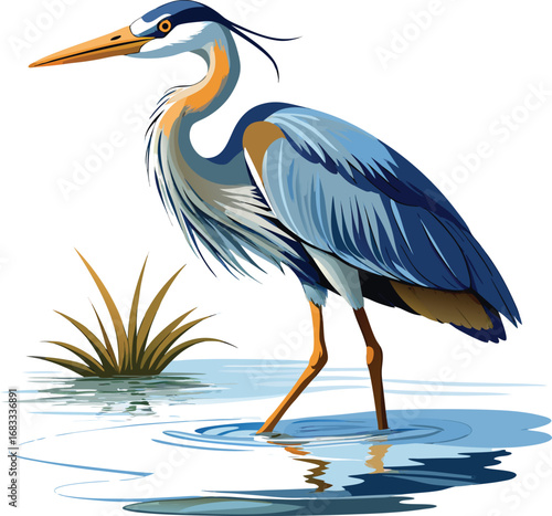 heron in the water vector Art & Illustration