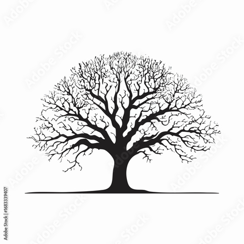 Oak tree silhouette no leaves. This image shows a detailed silhouette of an oak tree without leaves, emphasizing its stark and natural elegance. Vector clipart illustration design.